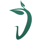 Natural Dental Services logo